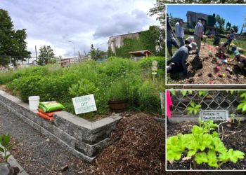 Queen’s ‘Garden of Hate’ taking case to federal court, rips judge and ‘scurrilous’ NY Post coverage