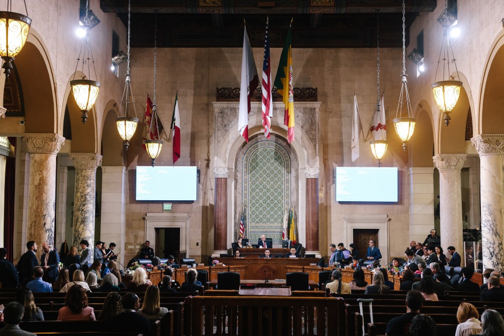 Los Angeles city council meeting.