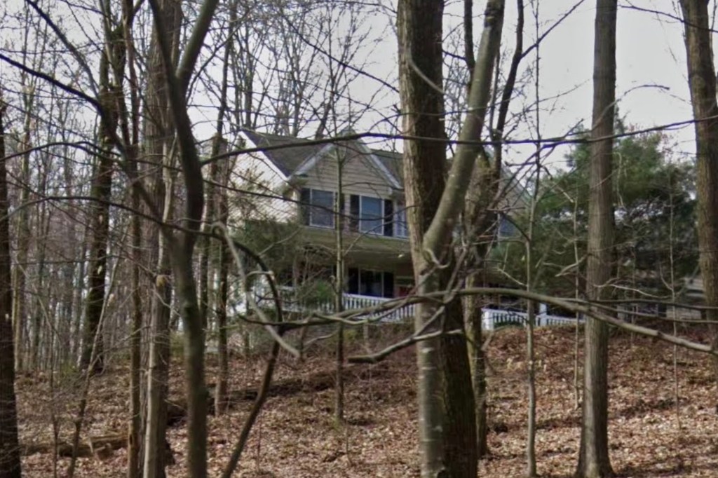 House seen through trees.