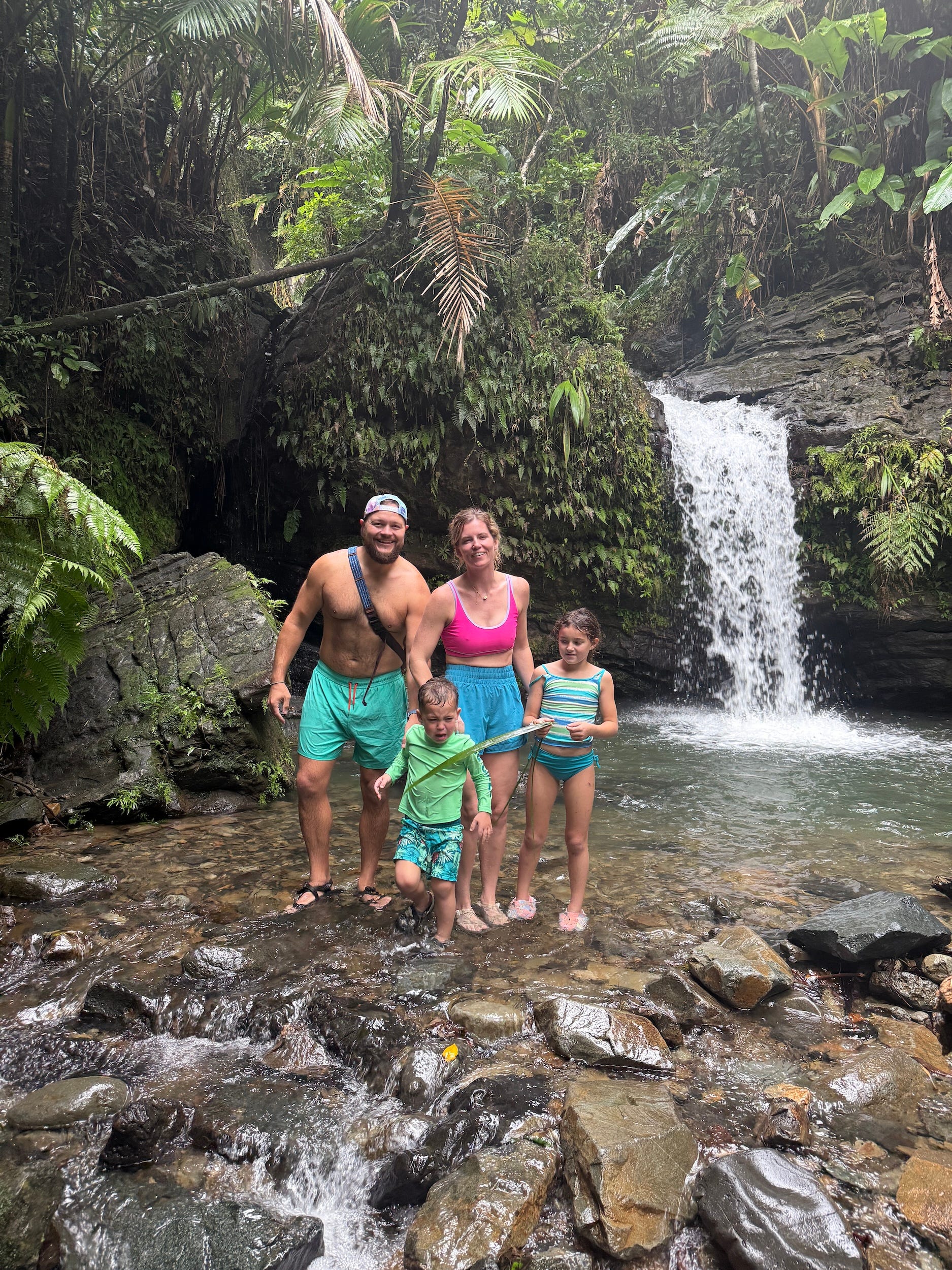 A family of four posing for a photo in front of a waterfall.