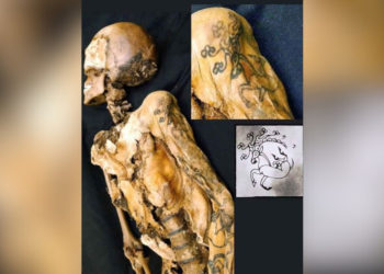Stunning Tattoos Found on 2,500-Year-Old ‘Ice Mummy’
