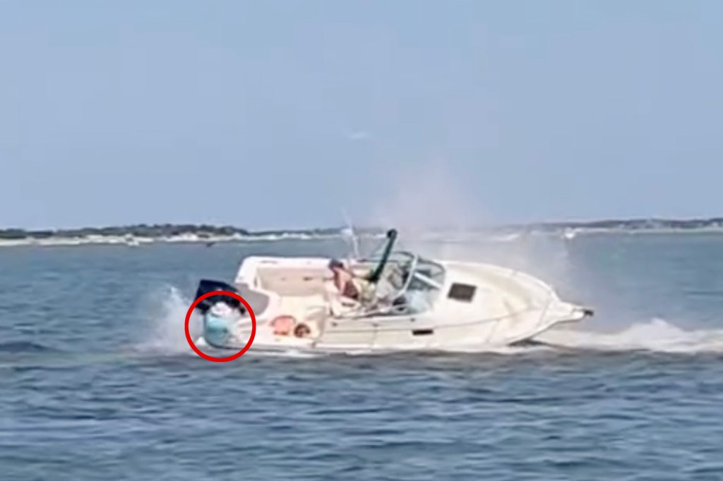Minke whale tipping a boat in Barnegat Bay.