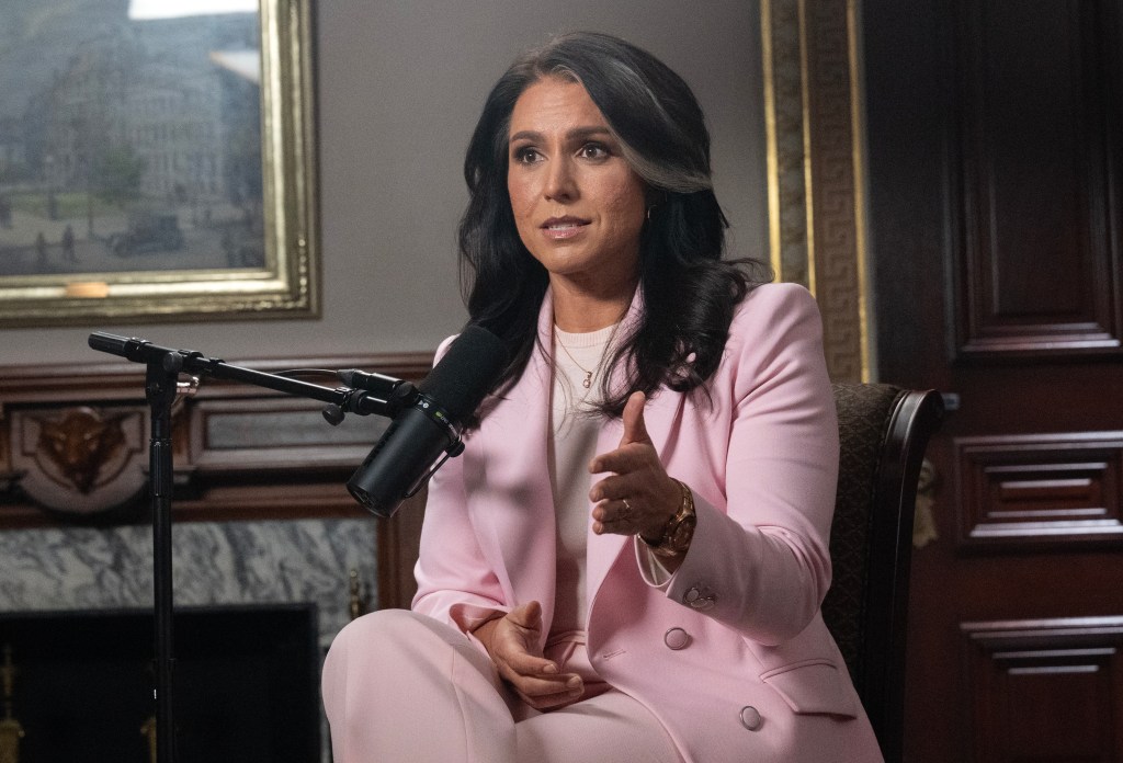 Tulsi Gabbard being interviewed.