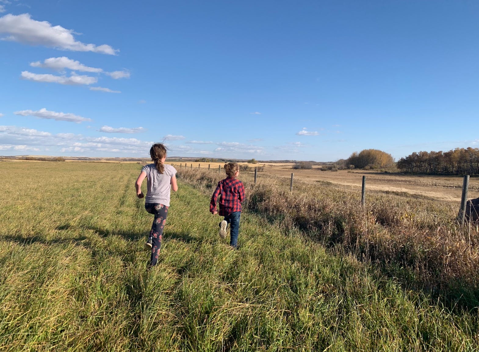 The writer's kids running around their farm in Canada.