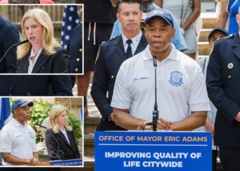 NYPD’s special quality-of-life cops now covering all of Brooklyn: ‘It’s working’