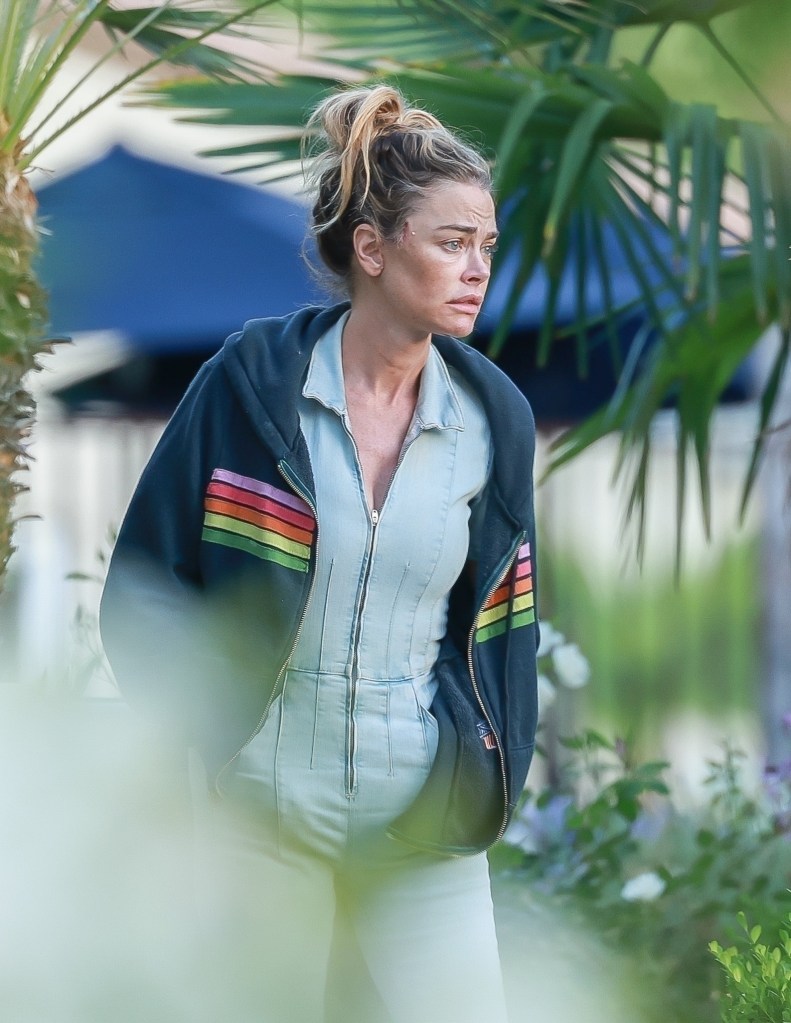 Denise Richards was seen after filing for divorce from husband Aaron Phypers 