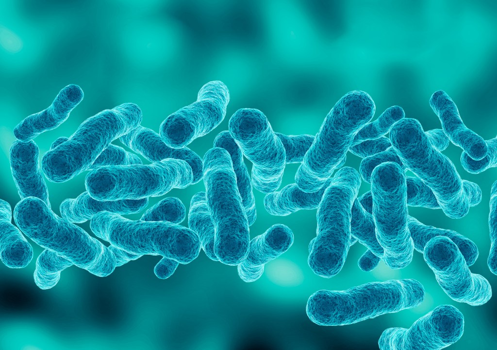 3D illustration of Legionella pneumophila bacteria.