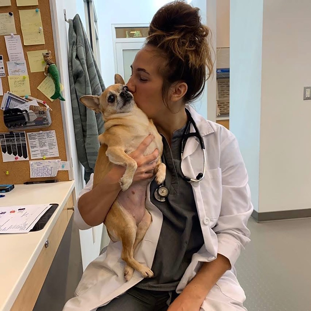 Semanchik earned her undergraduate and veterinary degrees from the University of Wisconsin and was a beloved veterinarian at Long Valley Animal Hospital