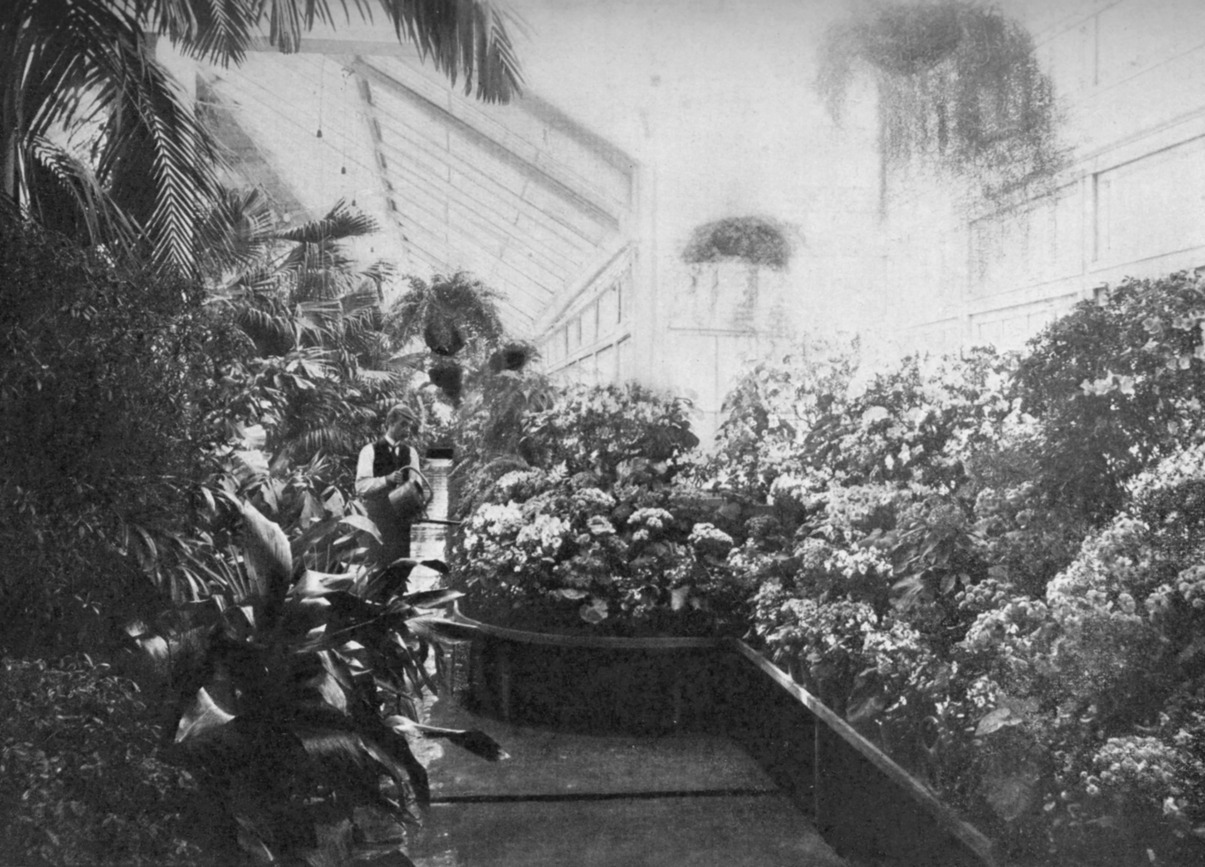 white house conservatory