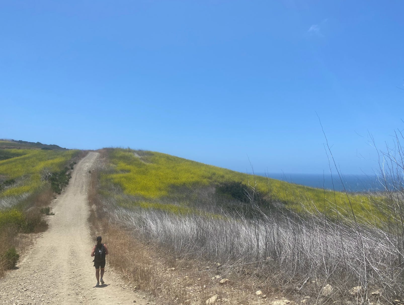 The writer hiking in Long Beach.