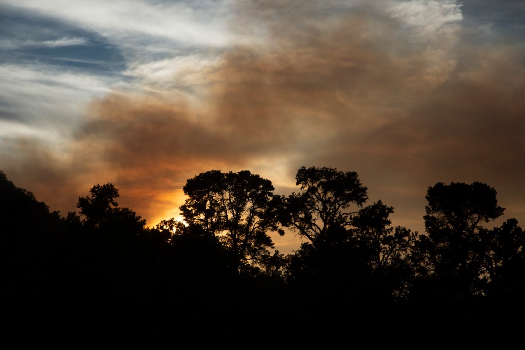 Silhouetted trees against a sunset sky filled with wildfire smoke.