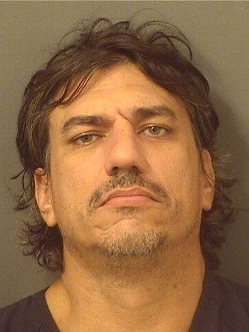 Michael Jeffrey Rodrigues was found with a loaded AR-15, magazines and other weapons outside of the Palm Beach International Airport.