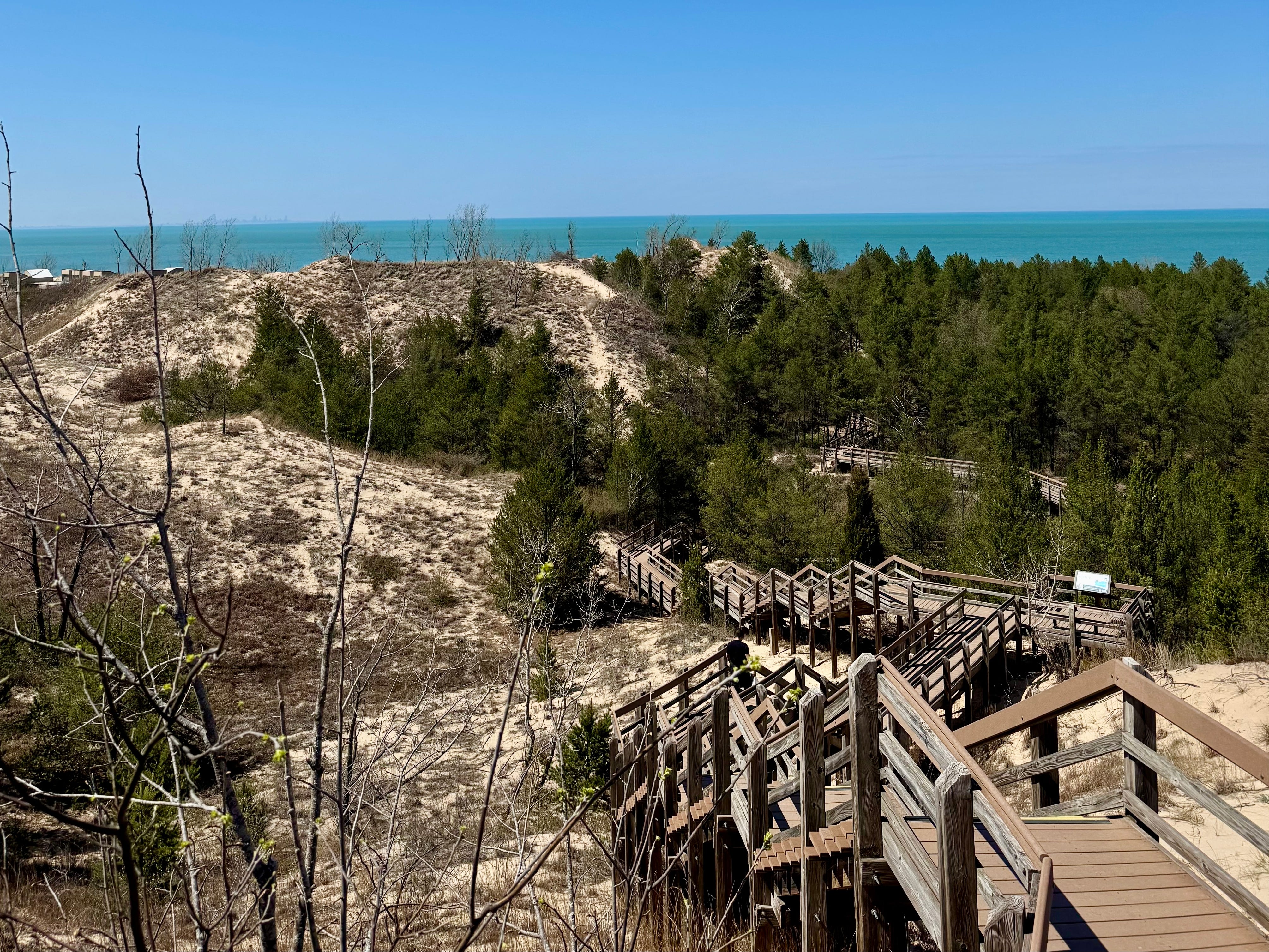 The Dune Succession Trail at Indiana Dunes National Park, with wooden steps trailing down trees and hills of sand.
