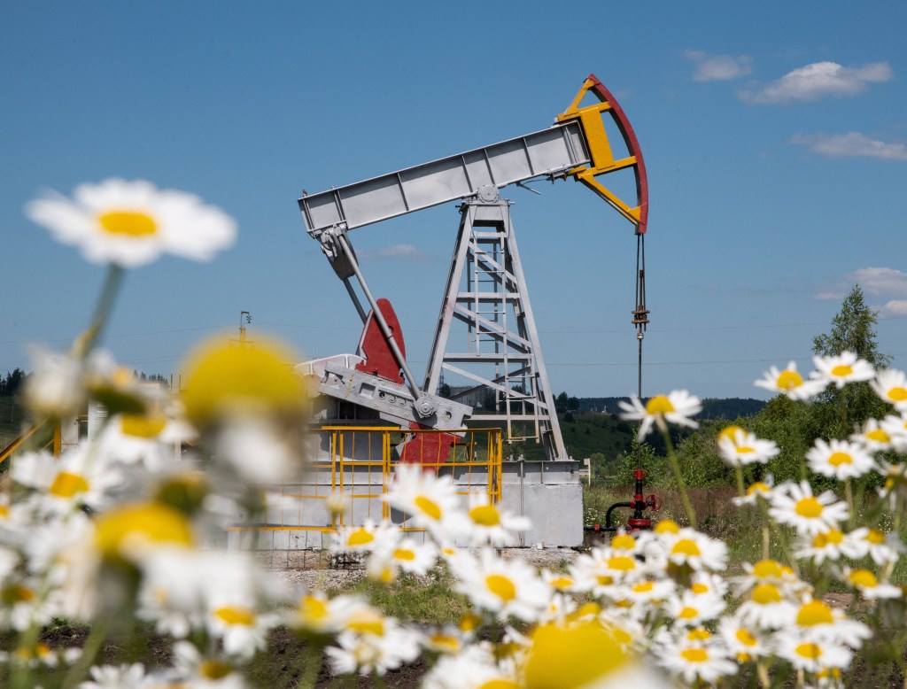 Oil pump jack partially obscured by daisies.