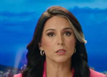 Tulsi Gabbard on the ‘Mainstream Propaganda Media’: ‘We Should Accept Nothing They Say at Face Value’