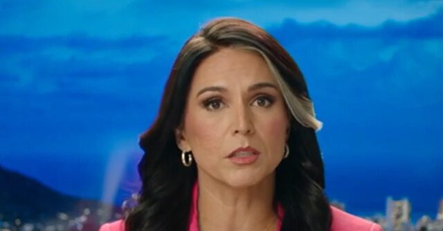 Tulsi Gabbard on the ‘Mainstream Propaganda Media’: ‘We Should Accept Nothing They Say at Face Value’
