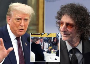 Trump claims Howard Stern’s SiriusXM show ‘went down’ after the shock jock endorsed Hillary Clinton in 2016