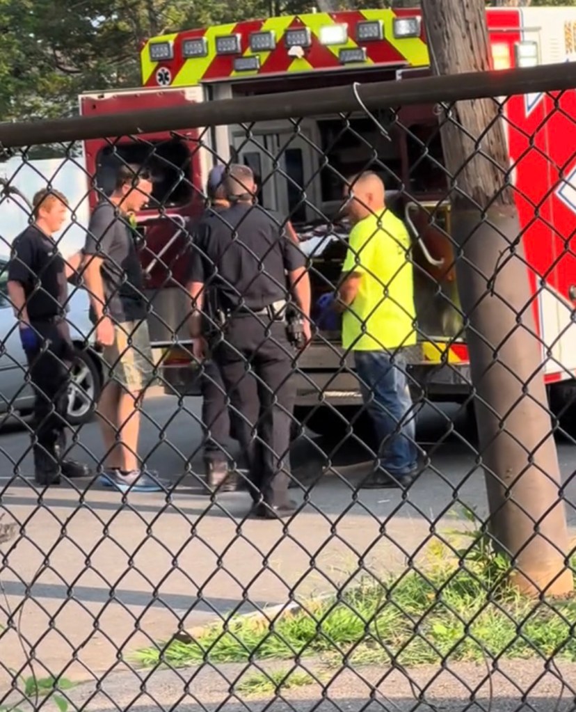 The North Babylon Volunteer Fire Company has stripped Alt of his duties pending an investigation.