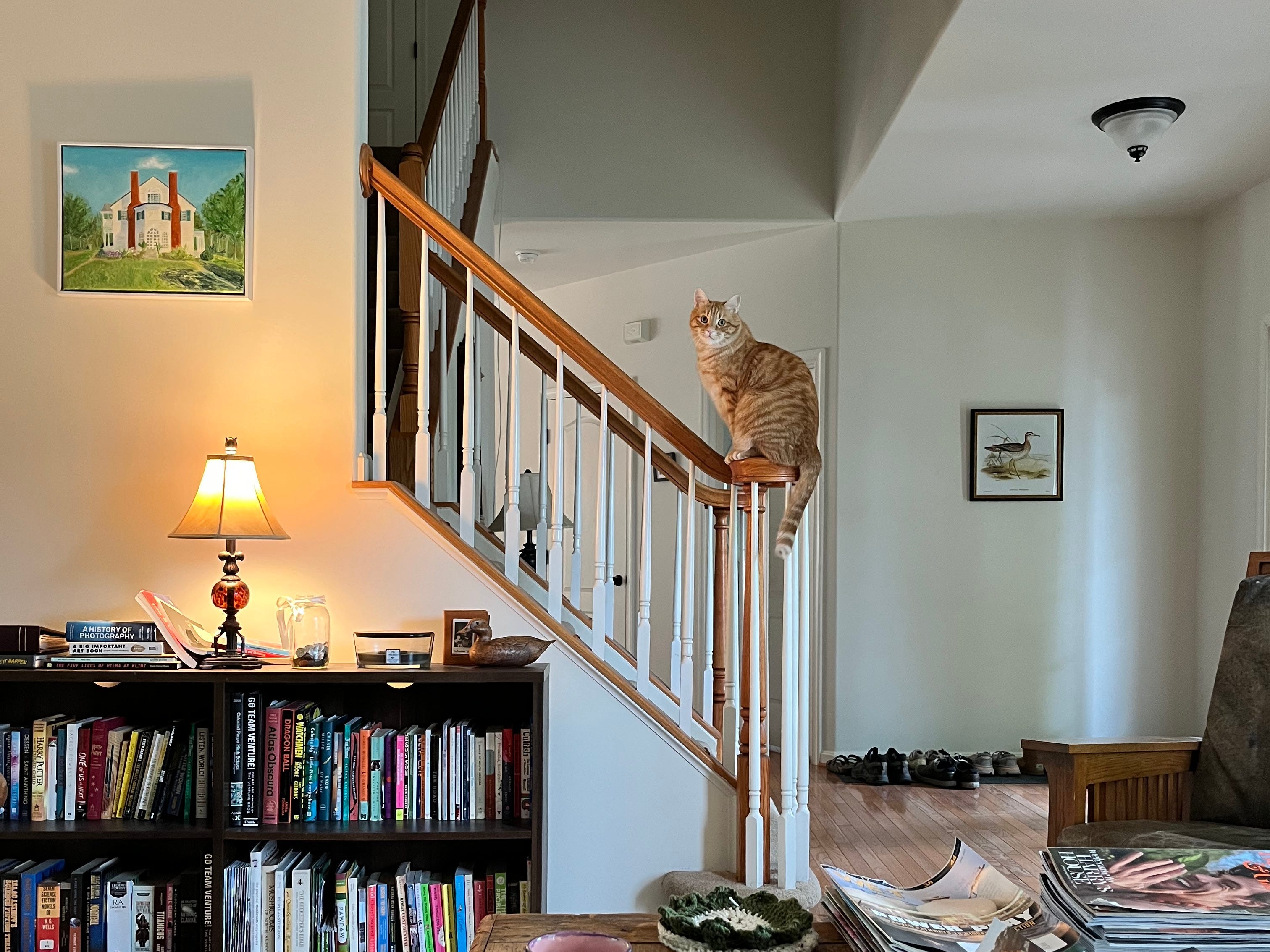 Cat sitting on banister