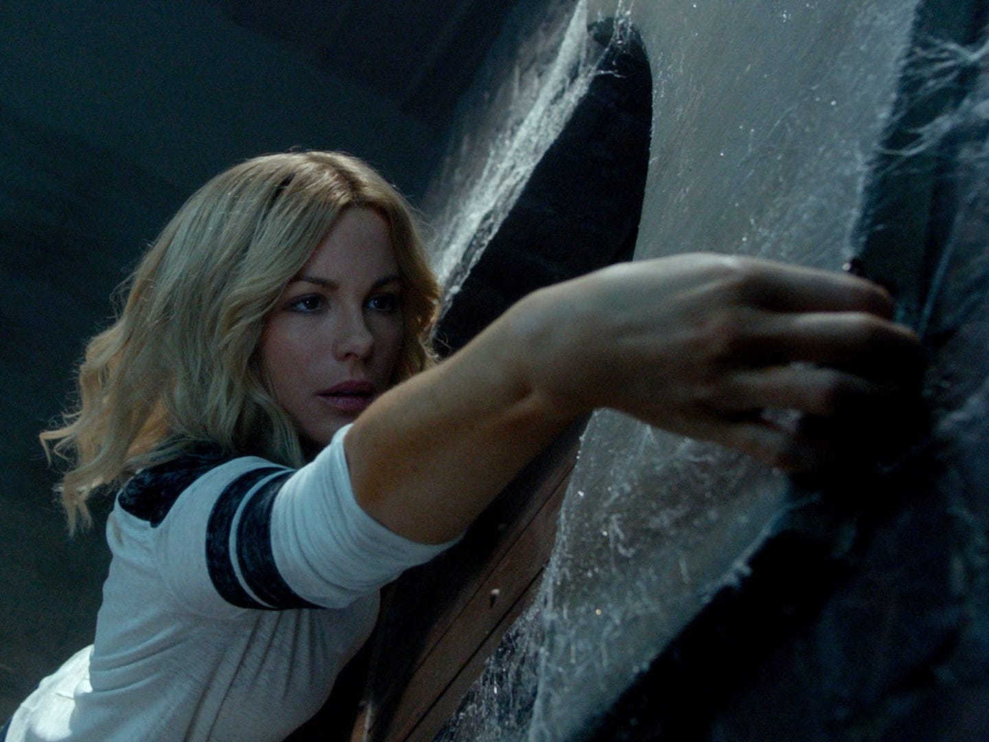 The Disappointments Room Rogue