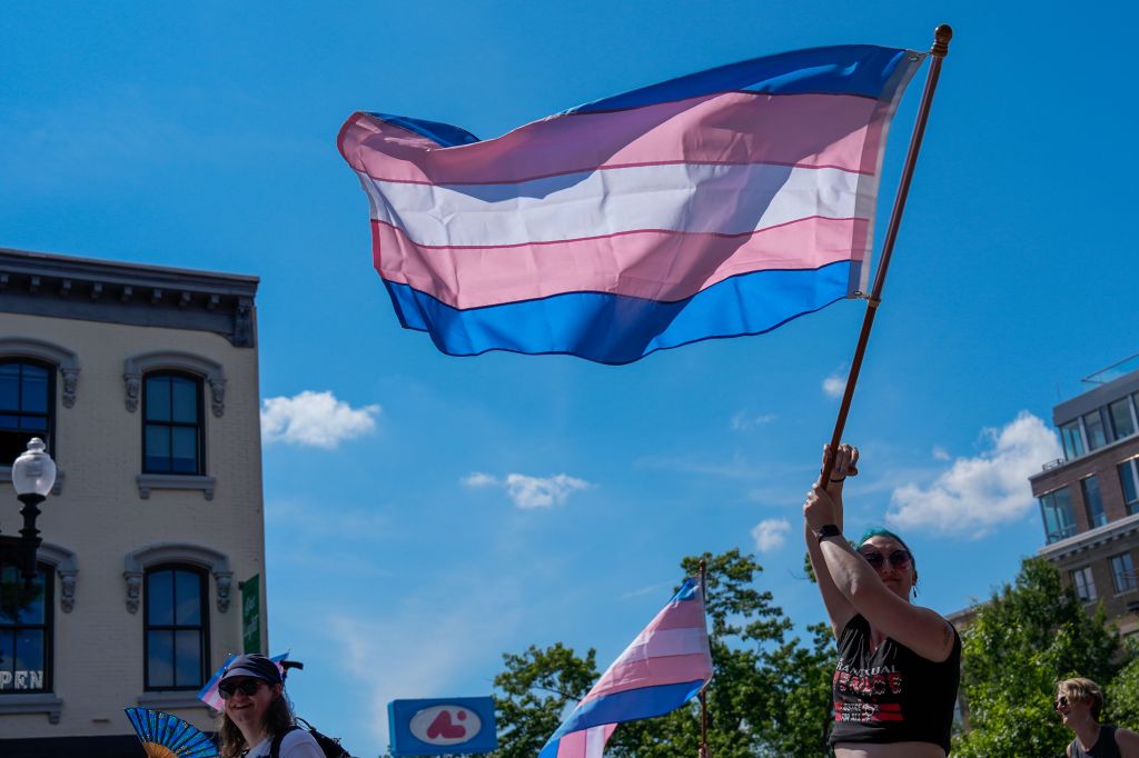 Person holding a transgender pride flag at a WorldPride parade.