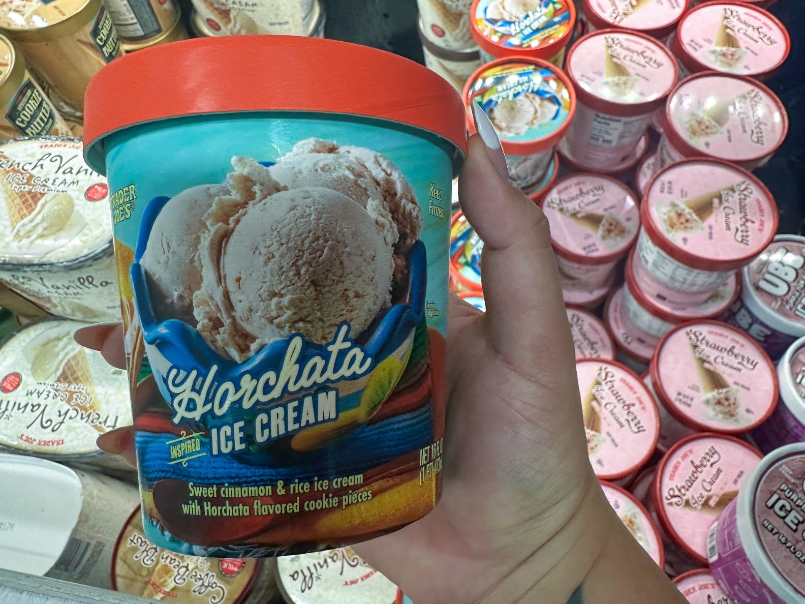 Horchata ice cream from Trader Joe's.