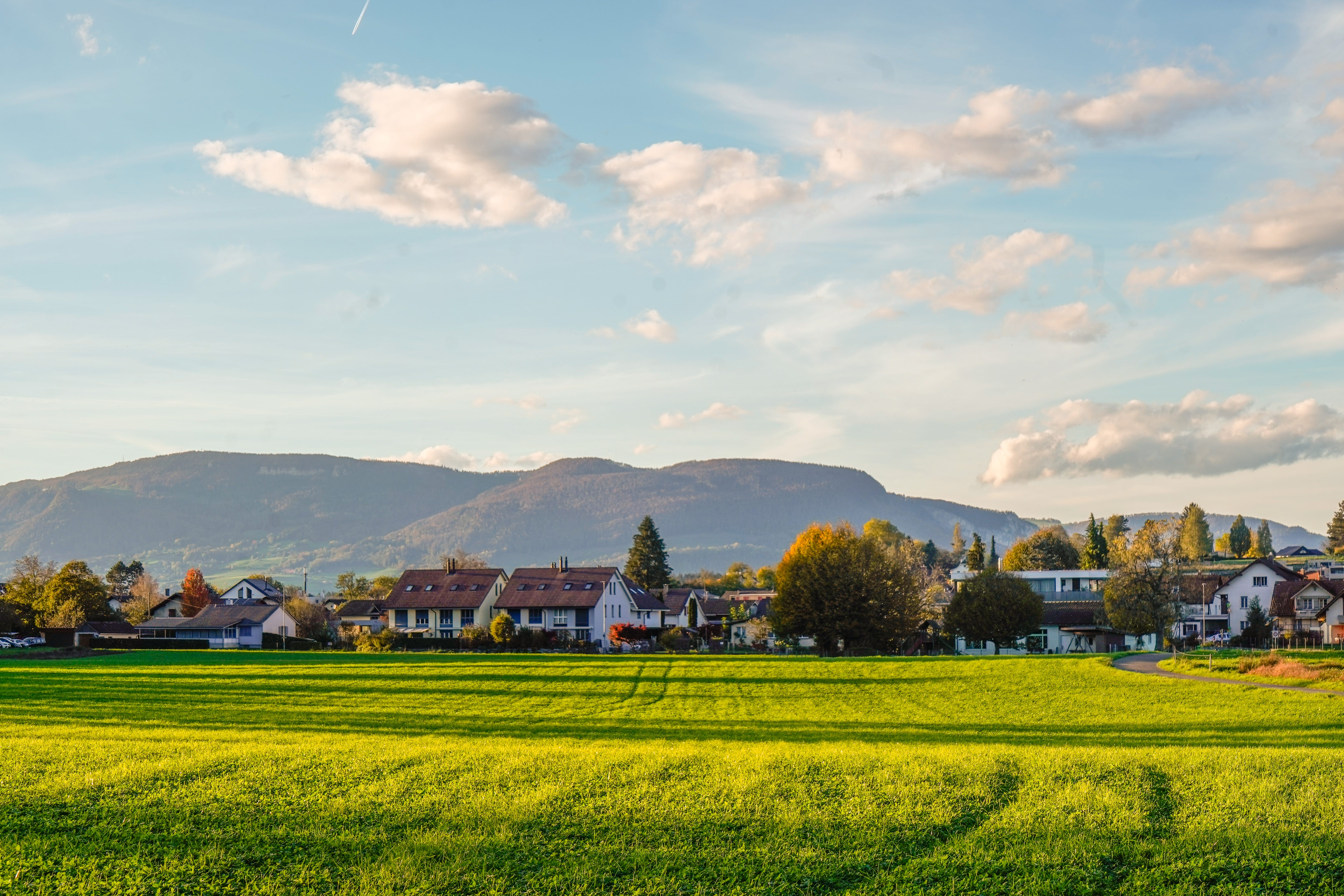 A sunlit field in Roggwil, Switzerland, in front of homes and hills