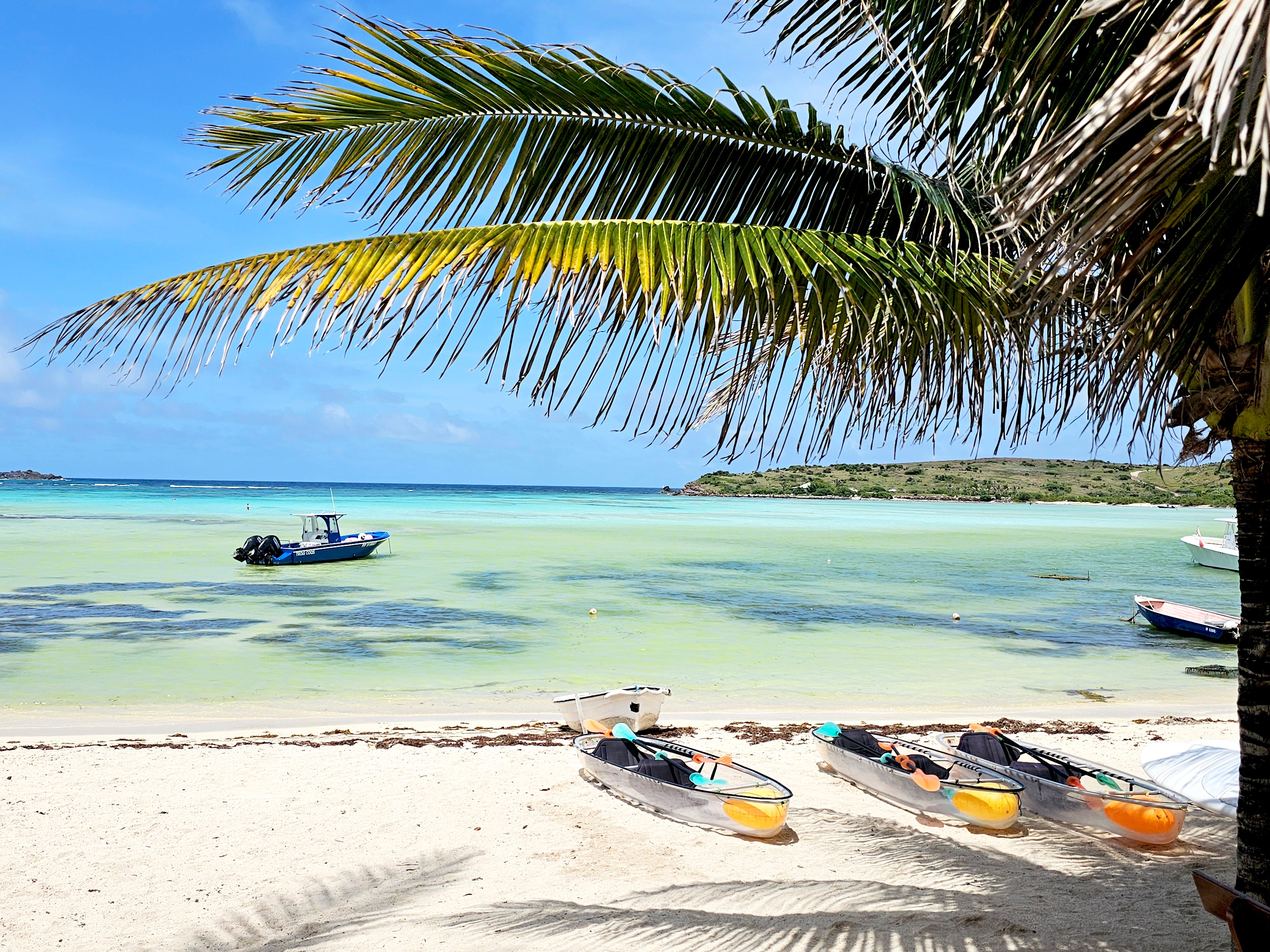 A beach with several canoes on the shore and a small boat near the shoreline in blue-green water. A palm tree sits in the foreground.