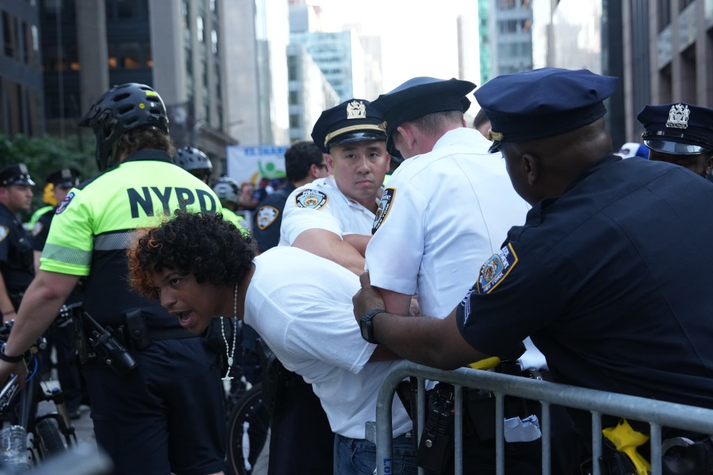 Members of the New York City Police Department arrested a man as spectators overflowed onto the path of the parade during the National Dominican Day Parade on Sunday, August 11, 2024 in New York, N.Y.