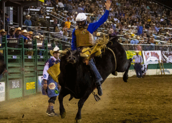 ‘PBR Friday Night Live’ bucks into Fox Nation with high-octane debut