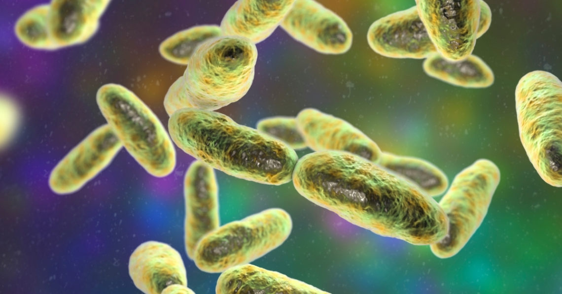 This Flesh-Eating Bacteria Is Spreading Across the South—Here’s How To Stay Safe