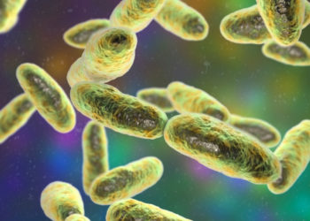 This Flesh-Eating Bacteria Is Spreading Across the South—Here’s How To Stay Safe