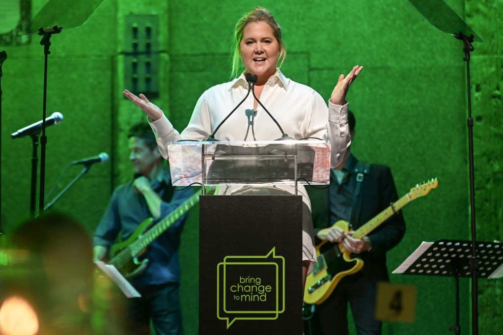 amy schumer