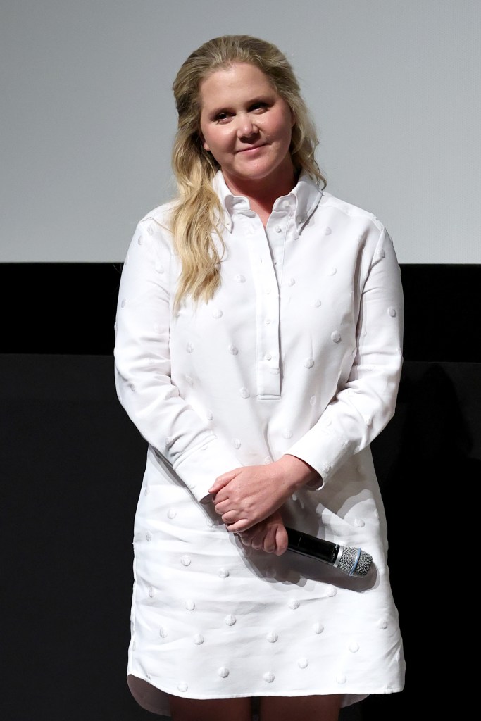 Amy Schumer