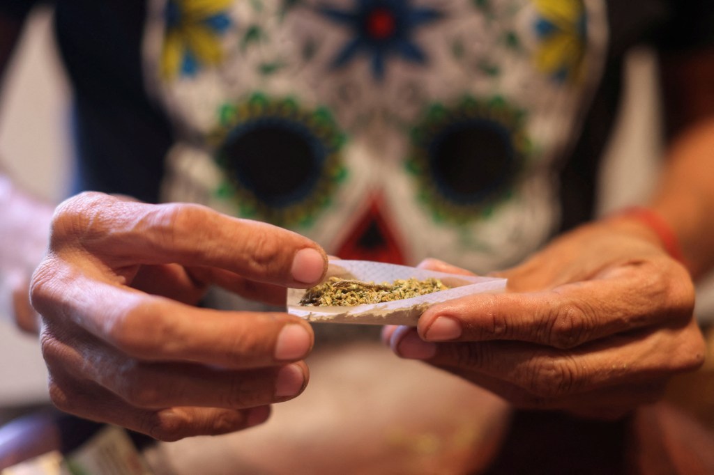 Close-up of hands rolling a marijuana joint.