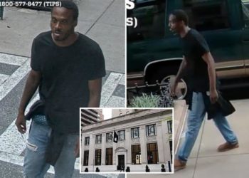 Homeless man held on $8,000 bail in ‘traumatic’ NYC attack on  94-year-old