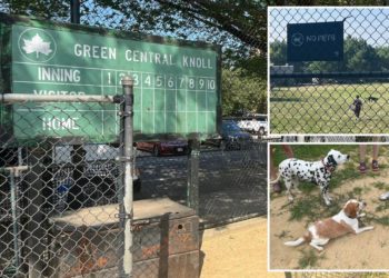 ‘Entitled’ NYC pet owners turn kiddie ballfield into illicit poop-filled dog park
