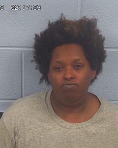 Mugshot of Terica Pearl.