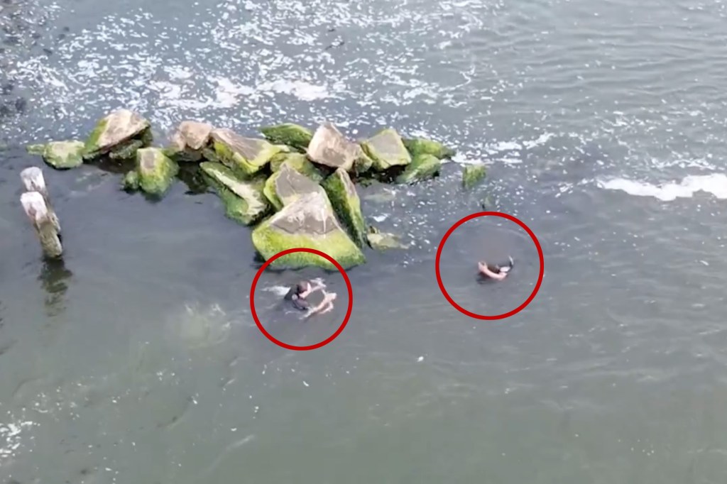 A determined NYPD cop removed her gear from her belt and jumped into the water after Swafford.