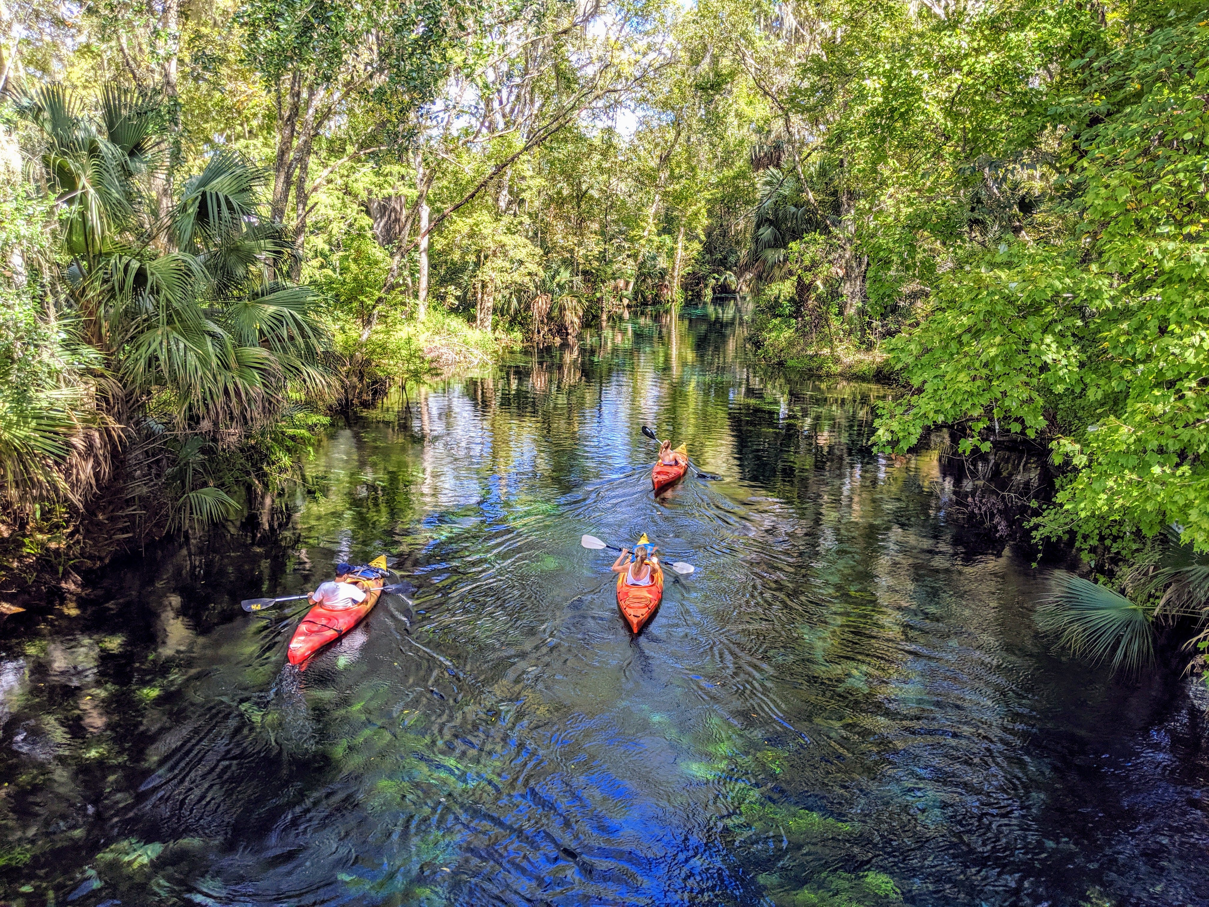 kayakers in ocala florida