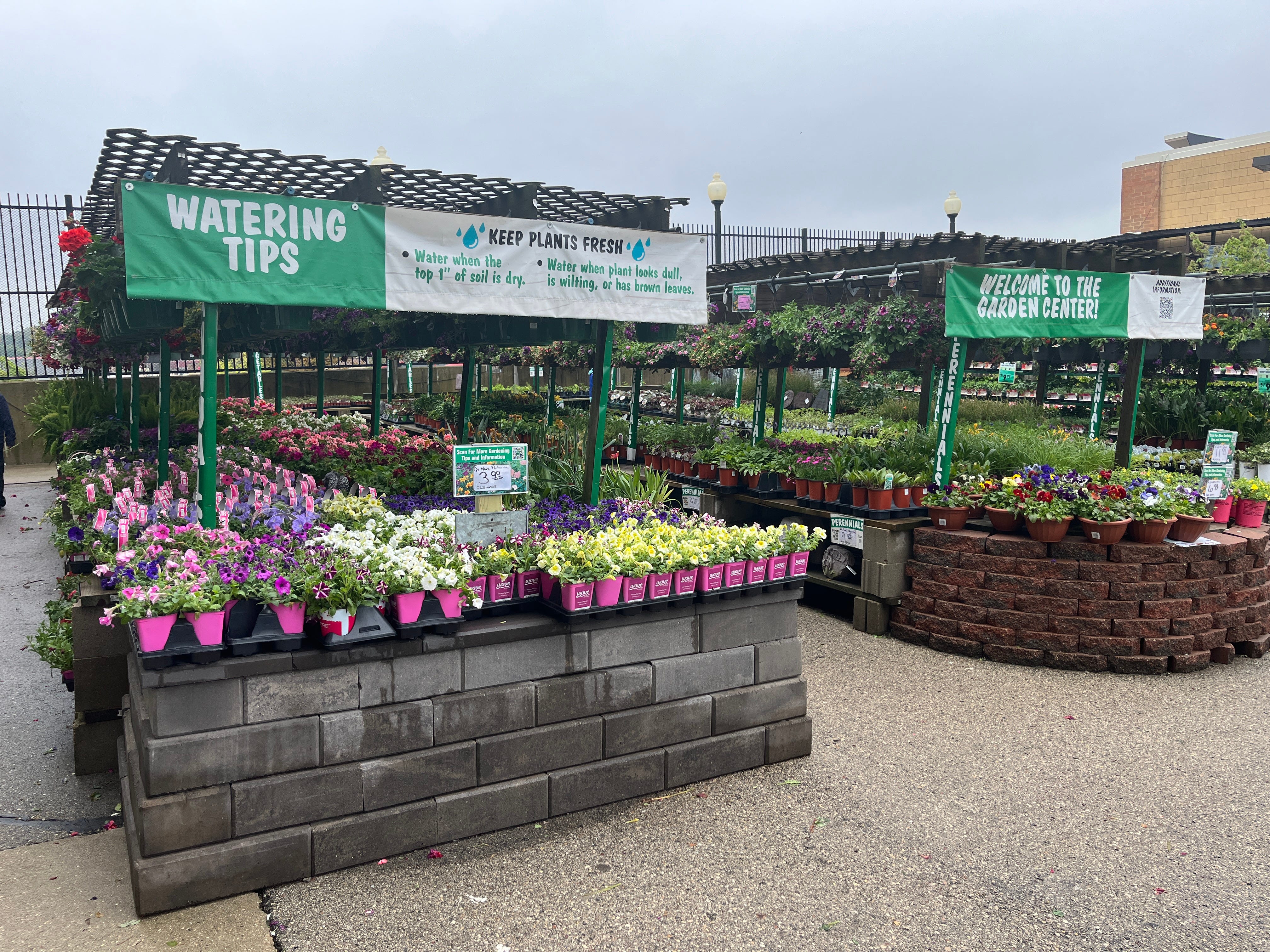 The garden center at Menards.