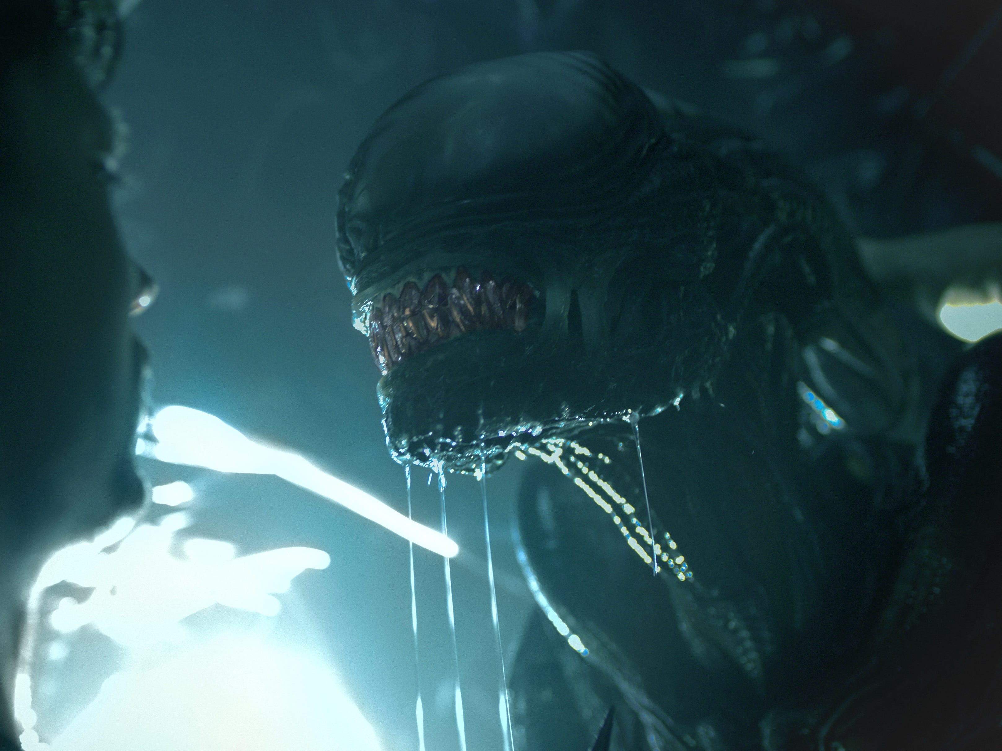 A Xenomorph bares its teeth at someone in the foreground with slime dripping from its jaws.