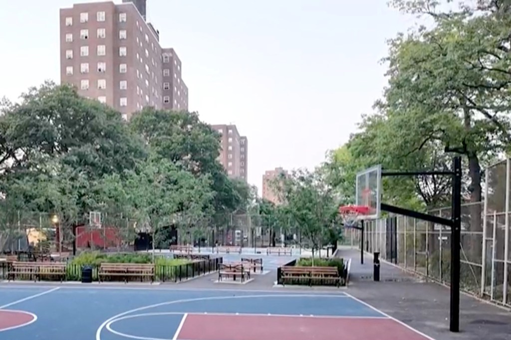 The boys, 15 and 16, were shot in the rear of a building on Schiefflin Avenue near 226th Drive South, part of NYCHA’s Baychester Houses, cops said. 
