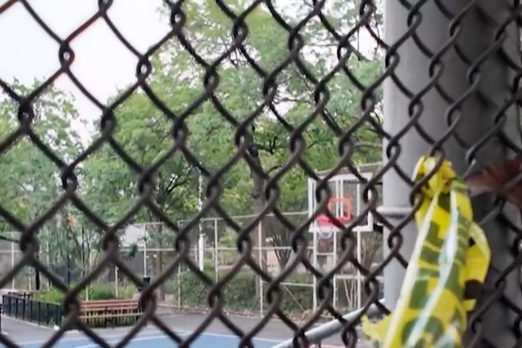 The boys, 15 and 16, were shot n the rear of a building on Schiefflin Avenue near 226th Drive South, part of NYCHA’s Baychester Houses, cops said. 