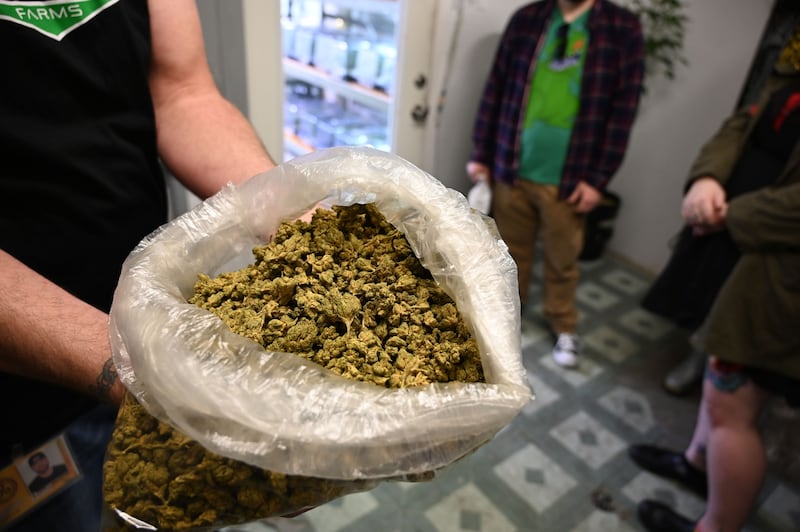 The California Compassionate Care Network (CCCN) marijuana dispensary's grow operation.