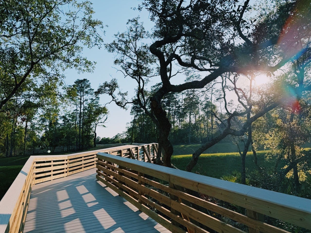 Path lined with wood railings through trees