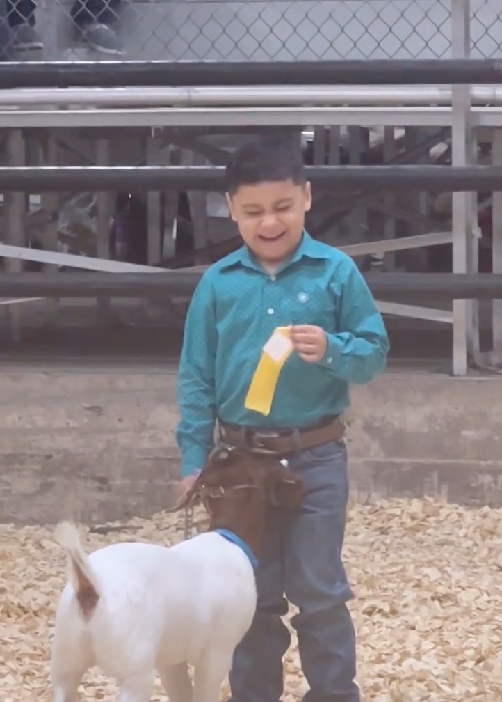 Smiling boy holding a yellow ribbon and standing with his goat.