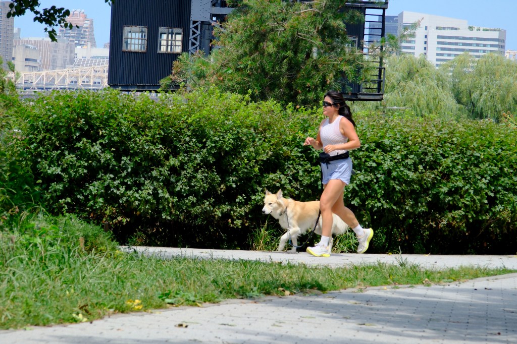 A jogger and her dog are seen in Hunters Point South Park, Long Island City.