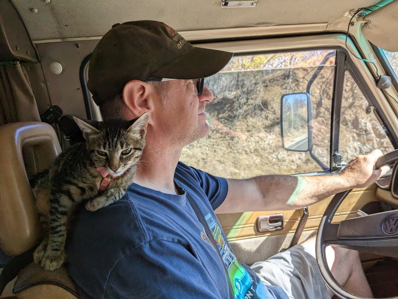 Kevin Ford is pictured driving with a cat