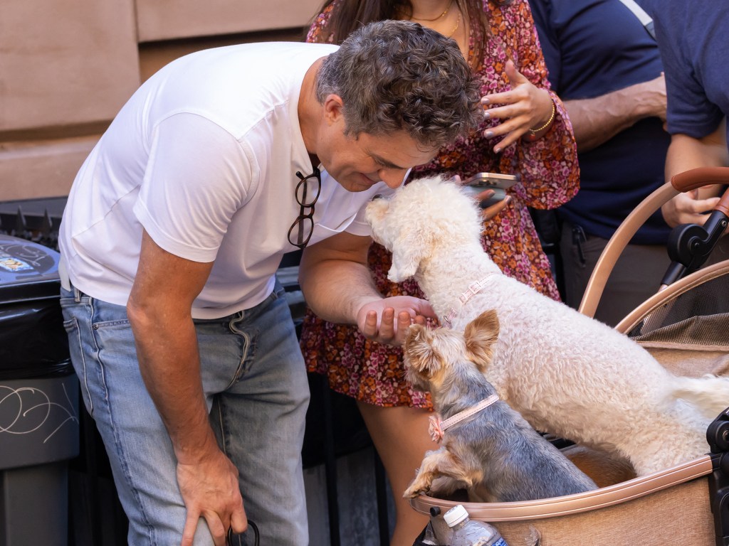 Mark Ruffalo meets some furry new friends on the set of his new  rom-com, “Good Sex,” filming on the Lower East Side.
